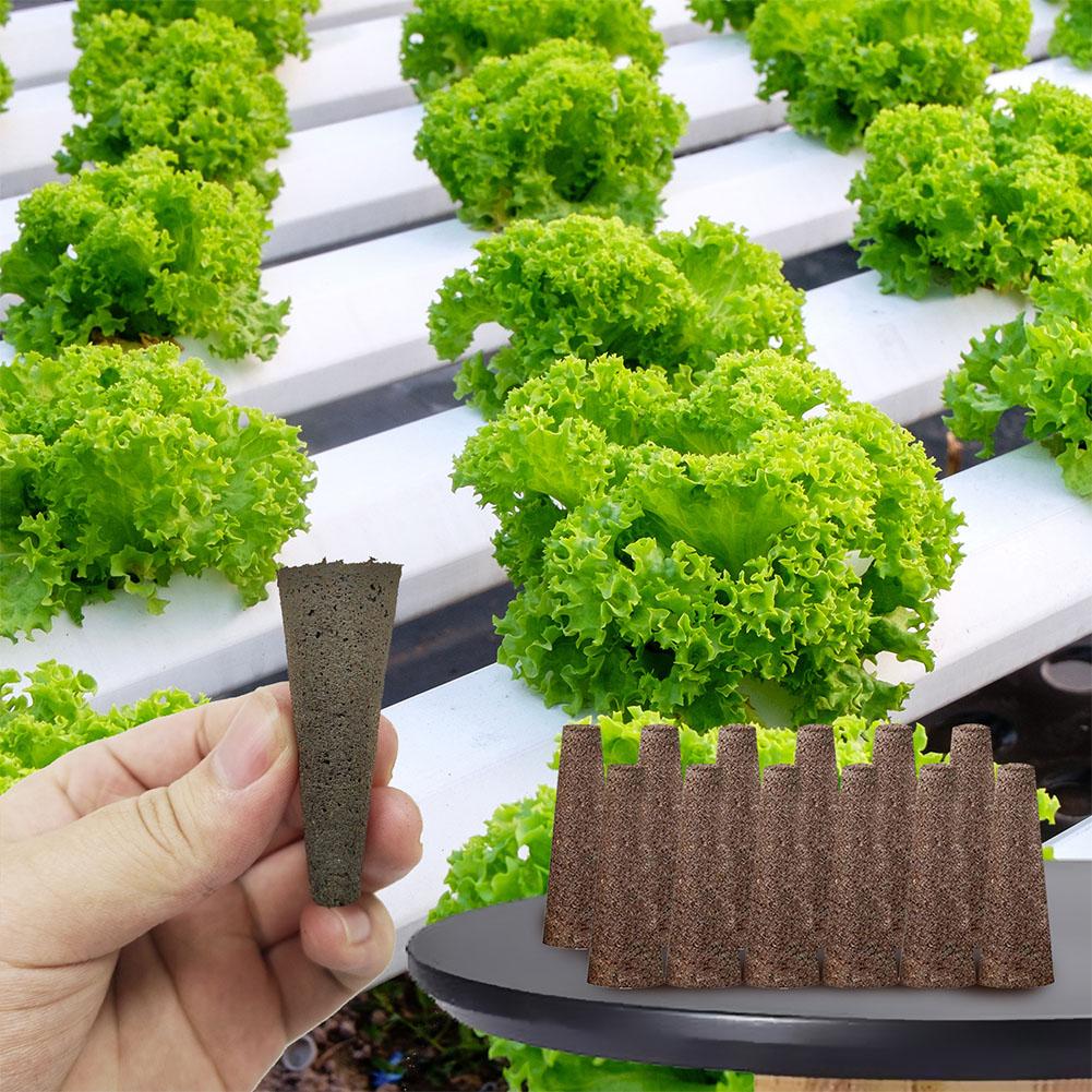 50 قطعة من إسفنجات زراعة البذو - مراجعة Aerogarden Seed Pod وسعره