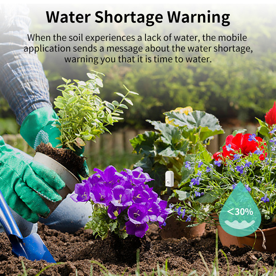 جهاز استشعار رطوبة التربة الذك - مراجعة Smart Garden Products وسعره