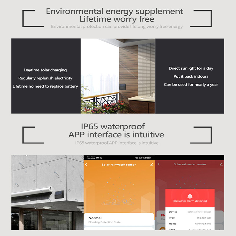 Tuya Zigbee مستشعر المطر تنبيه - مراجعة Smart Garden Home Assistant وسعره