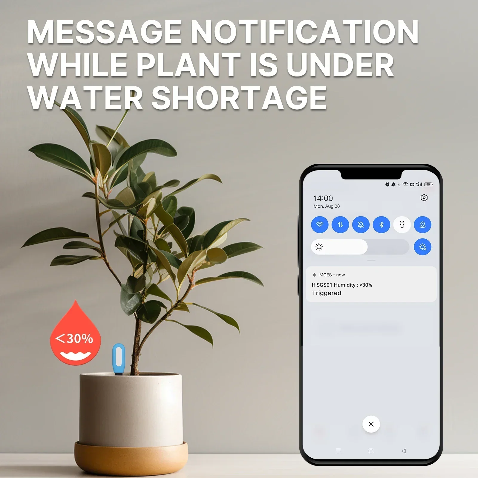 مقياس درجة حرارة التربة ZigBee - مراجعة Smart Garden Zigbee وسعره