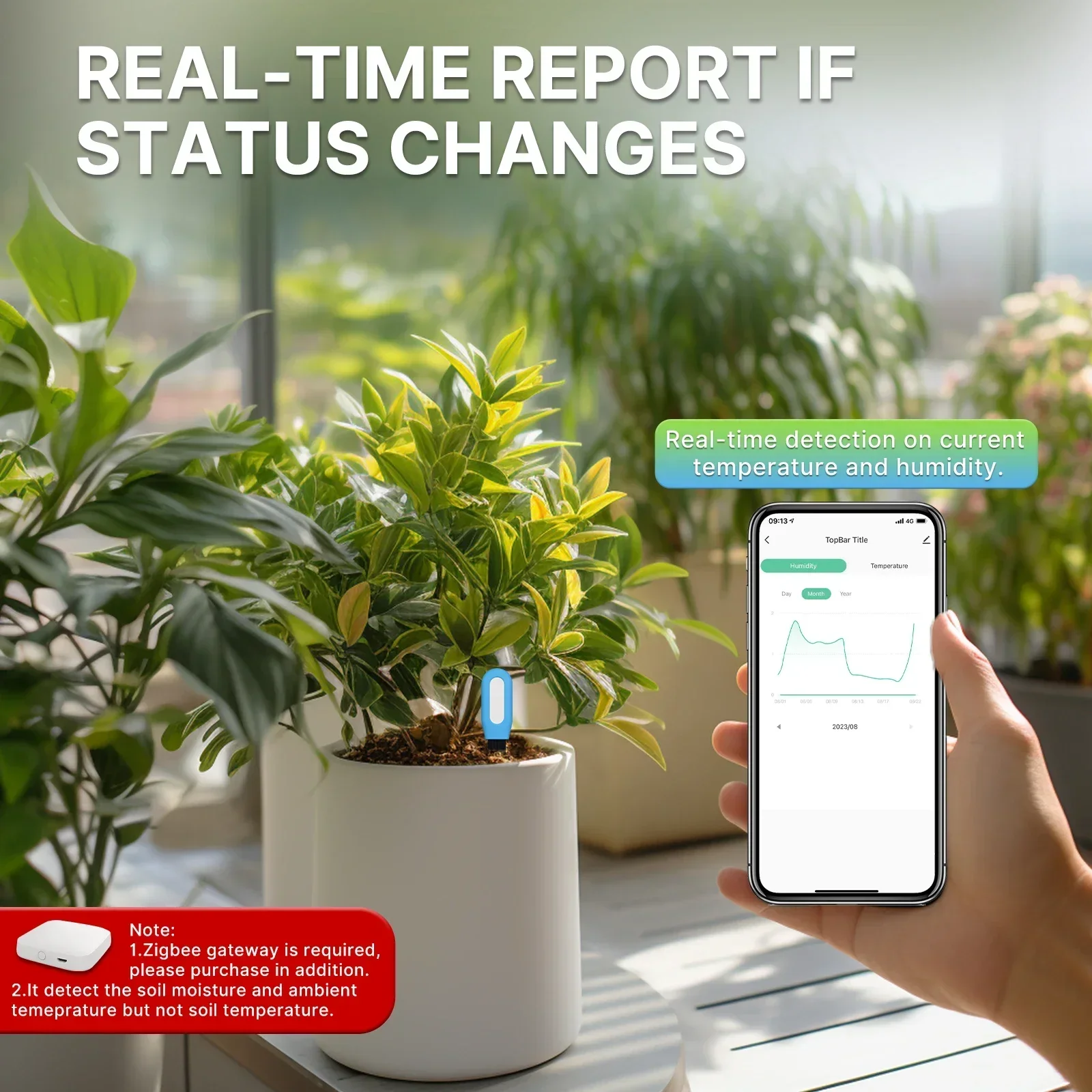 مقياس درجة حرارة التربة ZigBee - مراجعة Smart Garden Zigbee وسعره