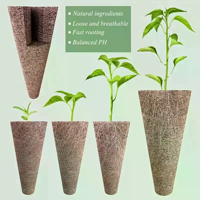 مستلزمات الزراعة المائية القوي - مراجعة Aerogarden Seed Pod وسعره