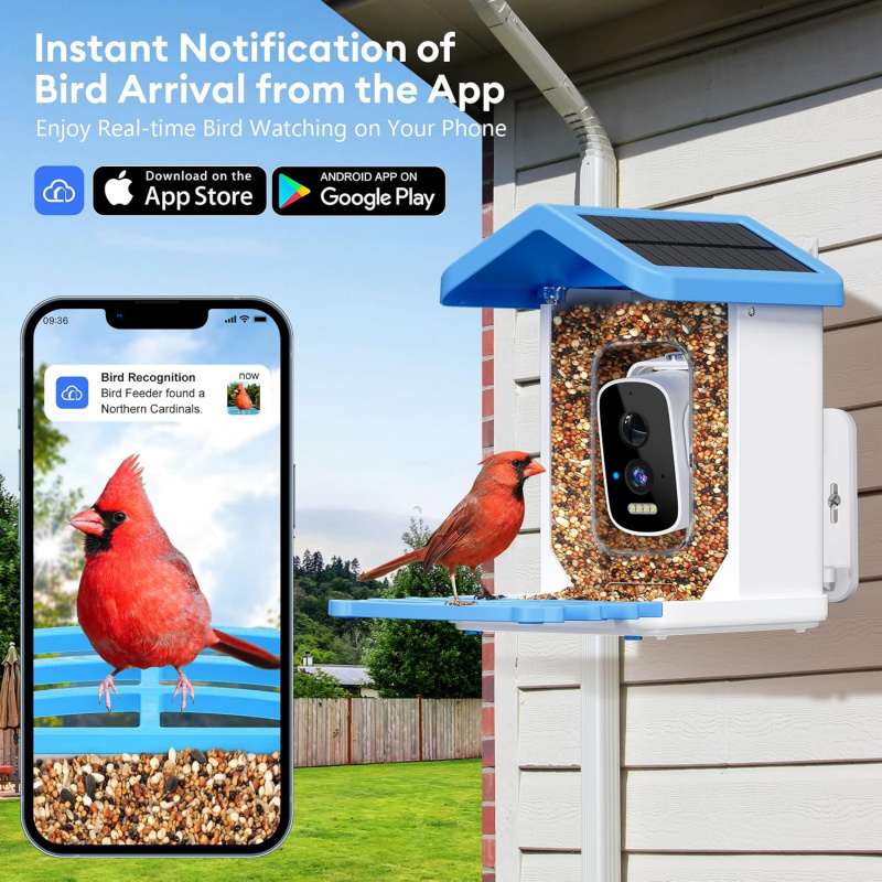 وحدة تغذية الطيور الذكية WiFi  - مراجعة Smart Garden Outdoor وسعره
